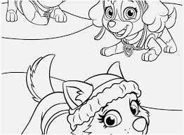 The main characters are rescue puppies and their leader ryder. Paw Patrol Robo Dog Colouring Pages Novocom Top