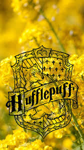 Pin De Moonlight En Harry Dibujos De Harry Potter Casas De Hogwarts Fandom De Harry Potter