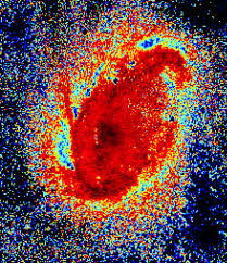 Image result for cartwheel galaxy