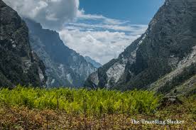Valley of flowers distance from delhi. Valley Of Flowers Hemkund Sahib Travel Guide Under Inr 3000 The Travelling Slacker