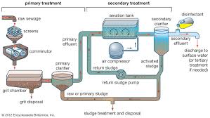 wastewater treatment primary treatment britannica