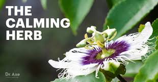 The Power Of Passion Flower Passion Flower Benefits Passion Flower Passion Flower Herb