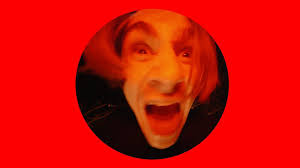 Basil Scott-Mitchell (@basilscottmitchell) • Instagram photos and videos