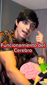 MUÉVETE si quieres PENSAR, #futbolista #futbolistas #futbolinfantil #fútbol  #neurociencias #neurociencia #psicologia