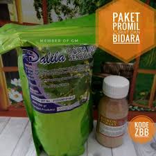 Gambar urut tradisional pokok dukung anak gambar daun di rebanas rebanas. Paket Promil Zuriat Dan Bidara Dalila Shopee Indonesia