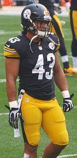 So, after all these years, getting two goats on the cover is exciting. Troy Polamalu Wikipedia