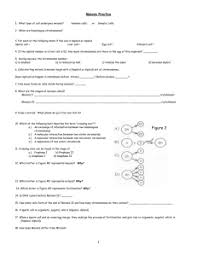 Mitosis lab answer key getting started these questions are designed to see how well you understand and can explain the key concepts how many mitotic cell divisions would it take for one zygote to grow into an organism with 100 trillion cells? Meiosis Virtual Lab Highmark Charter School