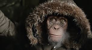 Everything About The Mighty Planet Of The Apes Saga From The Original Novel Via The Classic Films Of The 60s And 7 Planet Of The Apes Apes Dawn Of The Planet