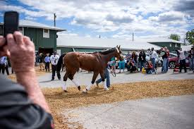 American Pharoah Is A Fan Favorite But Not Vice Versa The