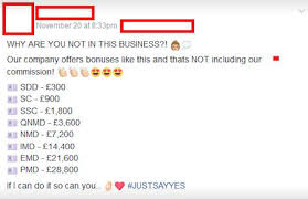 The Complete Lowdown On Mlm Juice Plus Talented Ladies Club