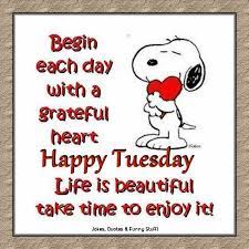 Tuesday is only the beginning of the week. Jokes Quotes Funny Stuff Happy Tuesday Facebook