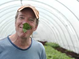 Urban farm raising greens, jobs