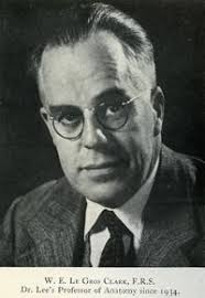 Cell and Developmental Biology at UCL: A History