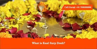 Kaal Sarp Dosh: Meaning, Effects, Remedies & More