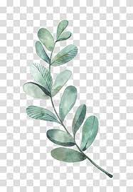 Leaf Drawing Watercolor Painting Illustration Green Leaves Illustration Of Green Leafed Plant Transparen Leaf Drawing Leaf Illustration Painting Illustration