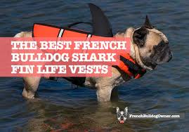 Summer french bulldog cooling bandana life saviour! French Bulldog Shark Fin Life Jackets Vest Best Cute Safe