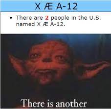 This Is Getting Out Of Hand Now There Are Two Of Them Funny Relatable Memes Memes Quotes Funny Memes