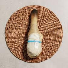 Image result for geoduck