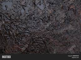 To make or render moist, damp, or wet; Dark Autumn Damp Wet Image Photo Free Trial Bigstock
