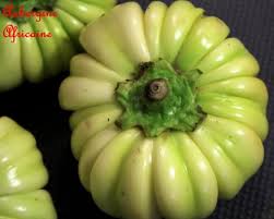 aubergine amer diakhatou