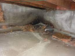 If moisture is a problem, it is important to identify the source of water. Unfinished Basements And Crawlspace Inspection House Sound Home Inspections Home Inspection
