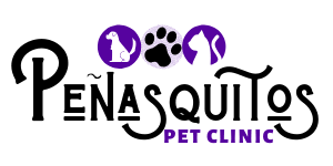 Your veterinarian in chula vista, ca. Penasquitos Pet Clinic