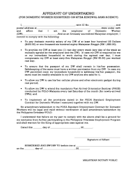 If you're filing lut, please read and select all the three check boxes for accepting the conditions prescribed in letter of undertaking. Affidavit Of Undertaking Fill Online Printable Fillable Blank Pdffiller