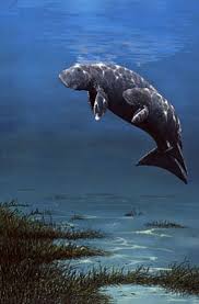 Dugongs Painting Art By Barry Ingham Ocean Mammal Dugong Underwater Creatures