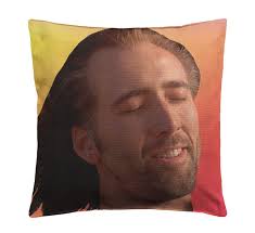 Con Air Nicolas Cage P118 Funny Pillow Throw Pillow for Home Office Decor  Cover Linen Lined Cushion Cover Cute Decorative Couch Pillow House Warming  Gifts (Cover Only) : Amazon.de: Home & Kitchen