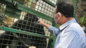 Pemandangan dan spot foto menarik di kebun binatang ragunan. Kebun Binatang Bandung Krisis Pakan Ragunan Klaim Aman Metro Tempo Co
