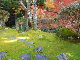 白龍園 見ごろを迎えております １１月１０日訪問 京都グルメタクシー おいしい京都 京都 グルメ お庭 美しい