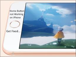 Fix Home Button Not Working On Iphone 8 And 8 Plus Not Vibrating