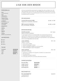 Professioneel Cv Maken Makkelijk Met Onze Cv Maker