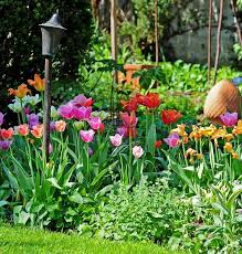 Garten Was Im April Zu Tun Ist In 2020 Pflanzen Blumen Pflanzen Garten