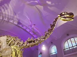 Lapsiparkki: Luurankoja kaapissa