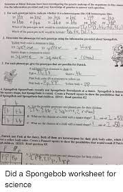 Spongebob is heterozygous for his square shape, but spongesusie is round. Scientists At Bikini Bottoms Have Been Investigating The Genetic Makeup Of The Organisms In This Comm Use The Information Provided And Your Knowledge Of Genetics To Answer Each Question 1 For Each