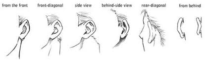 The Most Comprehensive Drawing Tutorials Collection Drawing Tutorial Drawings How To Draw Ears The most sophisticated cases, besides having frontal usb ports, also have plugs for microphone (mic in) and loudspeakers (or ear phones), a feature makes installing a microphone or ear phones in a pc very easy, since we don't need to take the case and figure 2: drawing tutorial