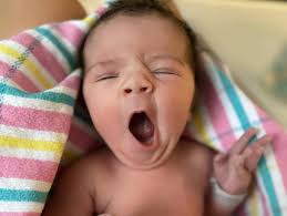 For almost 35 years Shauna Willis has been a part of the regional WA  television family. The partnership between Shauna and Noel Brunning