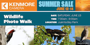 Juanita Bay Park Wildlife Photo Walk