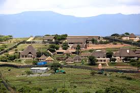 Malema charged that he noticed, minutes earlier whenzuma condemned the wave of xenophobia in an address to the chamber, that his heart did not appear to be in it. Tea For Two At Nkandla Zuma And Malema Chat Of National Importance