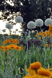 Cassian Schmidt Schreibt Uber Naturvorbilder Als Inspiration Fur Den Garten Straucher Garten Zierlauch Garten Landschaftsbau
