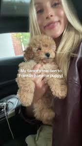 James Franklin with His Dog Video