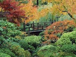 Photographic Print Poster Of Japanese Gardens Portland 24x18in In 2021 Japanese Garden Portland Japanese Garden Beautiful Japanese Gardens