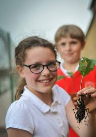 CHURCH IN WALES PRIMARY