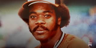 Introducing the Bird Tapes Podcast