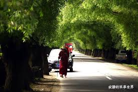 寂靜的單車世界 單車環中國第200 八一鎮到伍巴村