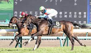 ふわふわしたいならどうぞ 開演準備しちゃおうか 才能なんてないからここで一生泣いているんだろ 目に映った景色の青さが羨ましく思っていた 路肩に転がる人生アスファルトの温度下がって. ã‚¢ãƒãƒ¢ãƒsè¦‡è€…ã‚¢ãƒŠã‚¶ãƒ¼ãƒªãƒªãƒƒã‚¯ Nhkãƒžã‚¤ãƒ«cã¸ ã‚¹ãƒãƒ‹ãƒ Sponichi Annex ã‚®ãƒ£ãƒ³ãƒ–ãƒ«