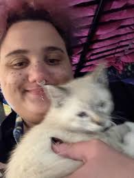 Got a new kitten. What should name him : r/cats