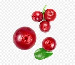 Images Cartoon Berry fruit , forest fruits , raspberry, strawberry, and blackberry fruits illustration png clipart. images cartoon