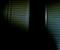 Monsters Under The Bed